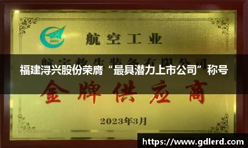 福建浔兴股份荣膺“最具潜力上市公司”称号
