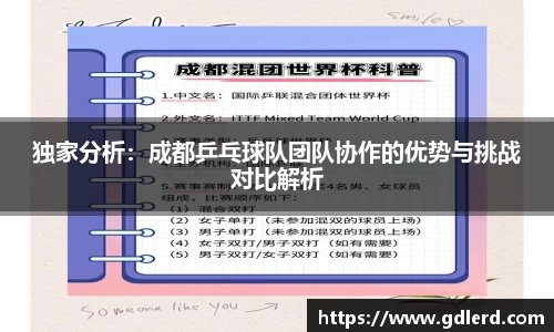 独家分析：成都乒乓球队团队协作的优势与挑战对比解析