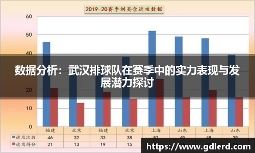 数据分析：武汉排球队在赛季中的实力表现与发展潜力探讨