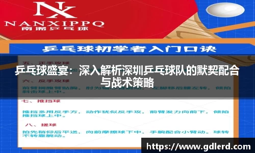 乒乓球盛宴：深入解析深圳乒乓球队的默契配合与战术策略