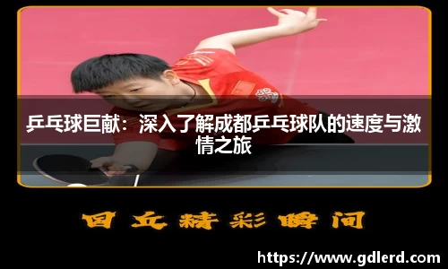 乒乓球巨献：深入了解成都乒乓球队的速度与激情之旅
