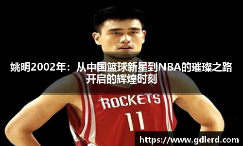 姚明2002年：从中国篮球新星到NBA的璀璨之路开启的辉煌时刻