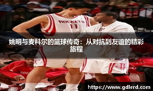 半岛·BOB官方网站