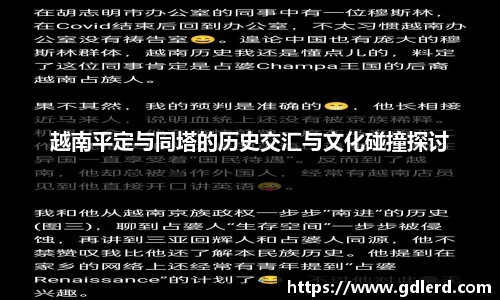 越南平定与同塔的历史交汇与文化碰撞探讨