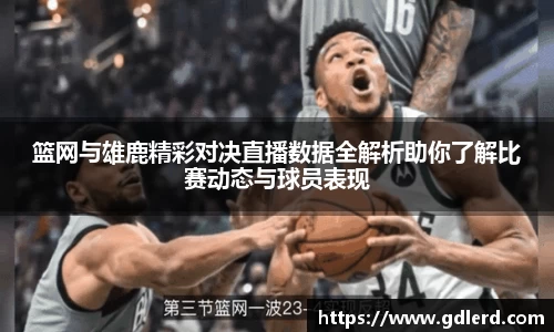BoB半岛·体育中国官方网站