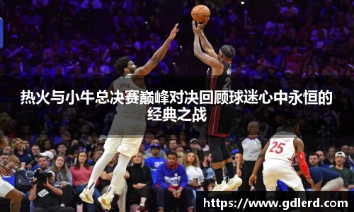 热火与小牛总决赛巅峰对决回顾球迷心中永恒的经典之战
