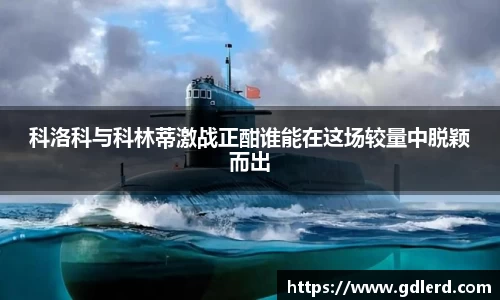 半岛bob·官方网站
