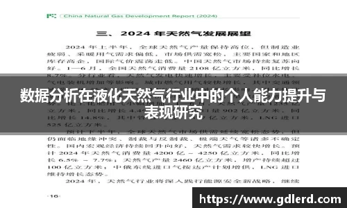 数据分析在液化天然气行业中的个人能力提升与表现研究