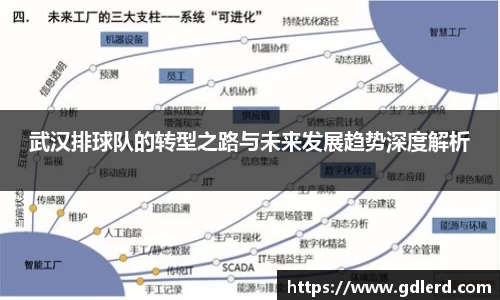 武汉排球队的转型之路与未来发展趋势深度解析